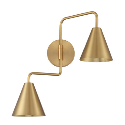 Meridian 2-Light Adjustable Wall Sconce in Natural Brass