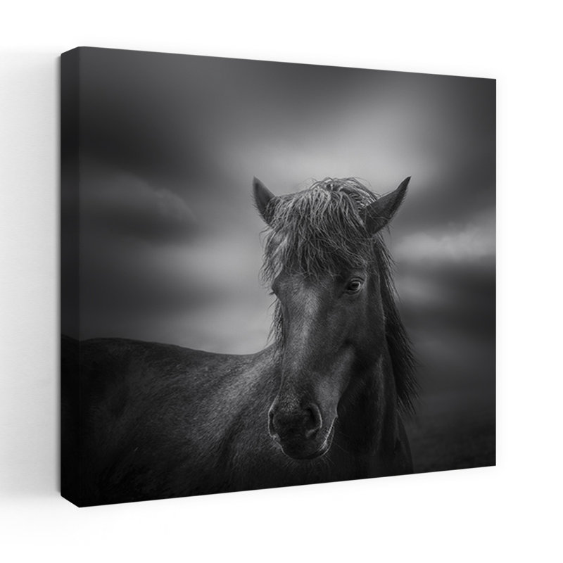 Print, 45.72cm H x 45.72cm W