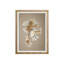 Shells On Champagne II Print by Sofia Fox-26943568-26943571