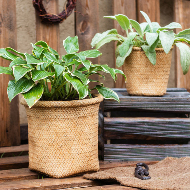 Leopoldo Handmade Pot Planter, 9.4" H x 9" W x 7.8" D