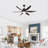 56"  Matte Black Ceiling Fan With LED Light  -2038105096