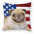 Fawn Pug
