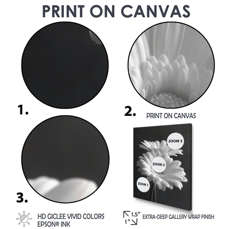 Monochromes noir et blanc «Bliss Daisy Photo I» - impression d'art mural marguerites, Cadre flottant noir, H 16 po x l 32 po