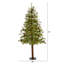 Arbre de Noël vert pin artificiel avec DEL-1315941162