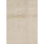 Wool Area Rug in Beige