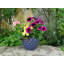 Vermehr Pot Planter-377209168-377209173