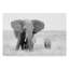 «Stay Away» par John Fan - reproduction de photo sur toile-1658986200