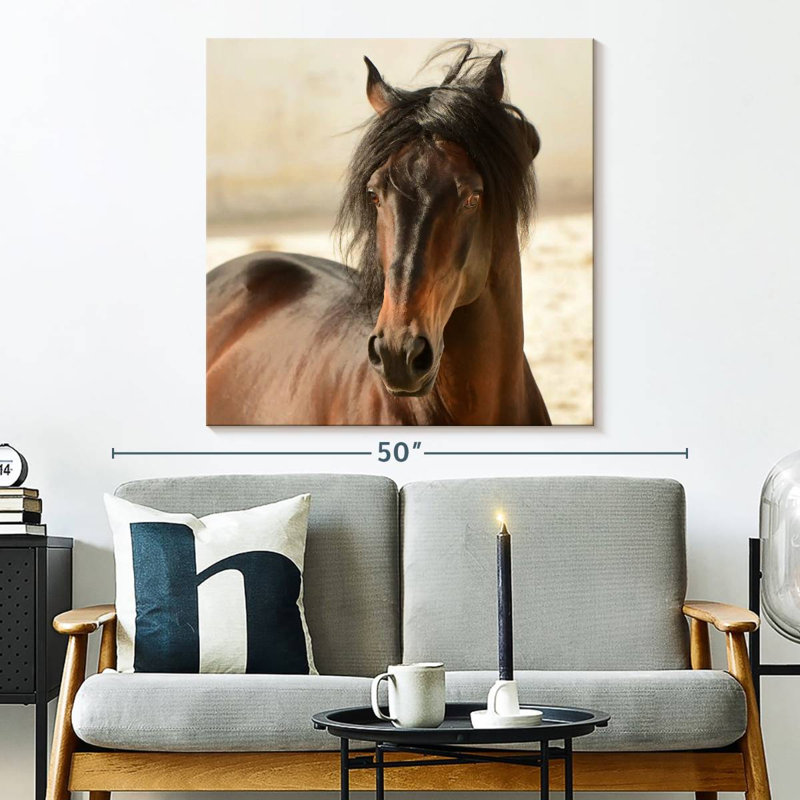 Brampt Brown Casanova, 33" H x 33" W
