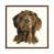 Classic Wood Framed n'est pas disponible