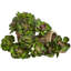 Ensemble de 12 plantes succulentes artificielles Echeveria-1866316394-1866316392