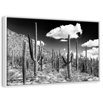 Arizona noir - forêt de cactus