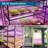 Zhu Grow Light-88957718