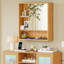 Narlock Medicine Cabinet