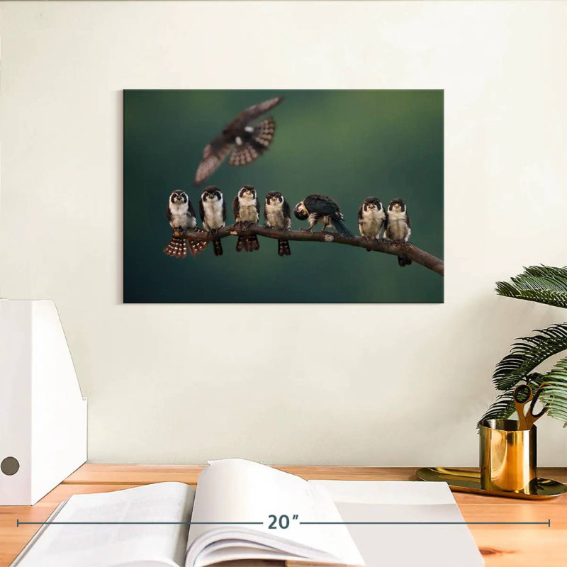 Perched Falconet Birds, 8" H x 12" W