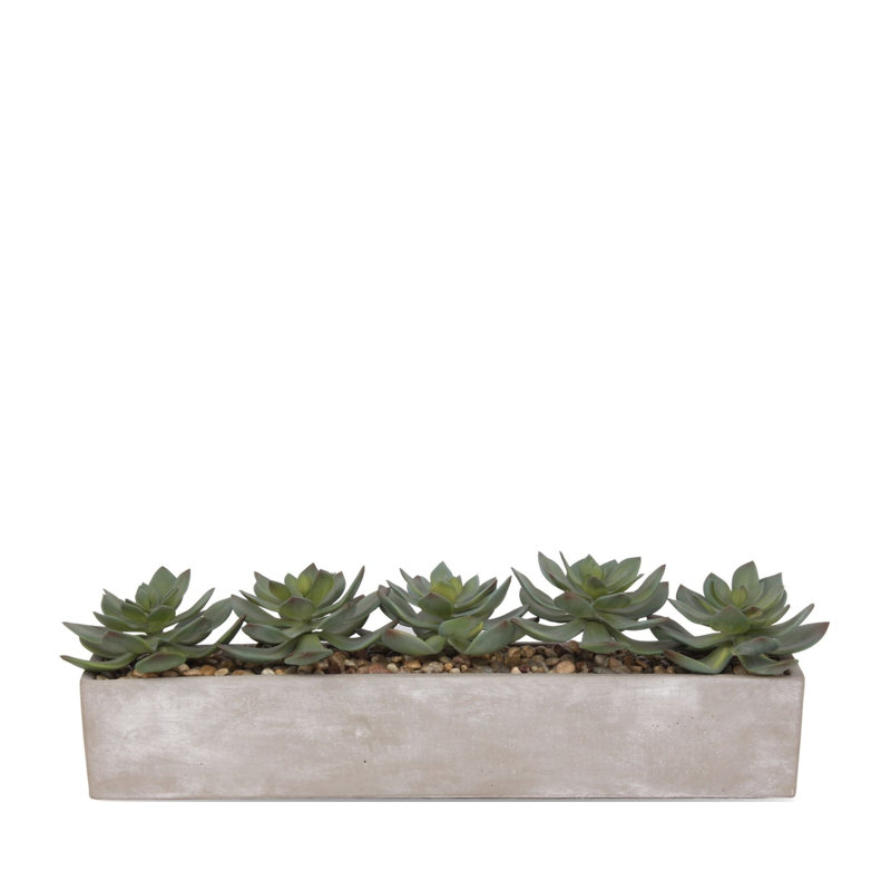 Gray Rectangular Pot with Silk Succulent Arrangement