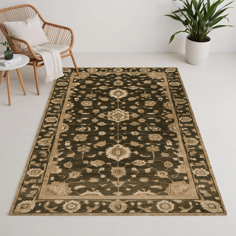 Overdyed Brown Indoor and Outdoor Area Rug, Rectangle 5' x 7'