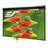 B Series Manual / Wall Mounted Projector Screen