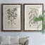 Antique botanique noir et blanc antique - ensemble de 2 reproductions d'art-686387519-686391209-672527106