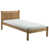 Waxed Pine