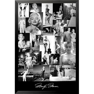 " Marilyn Collage "