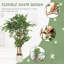 Plant-1533676178