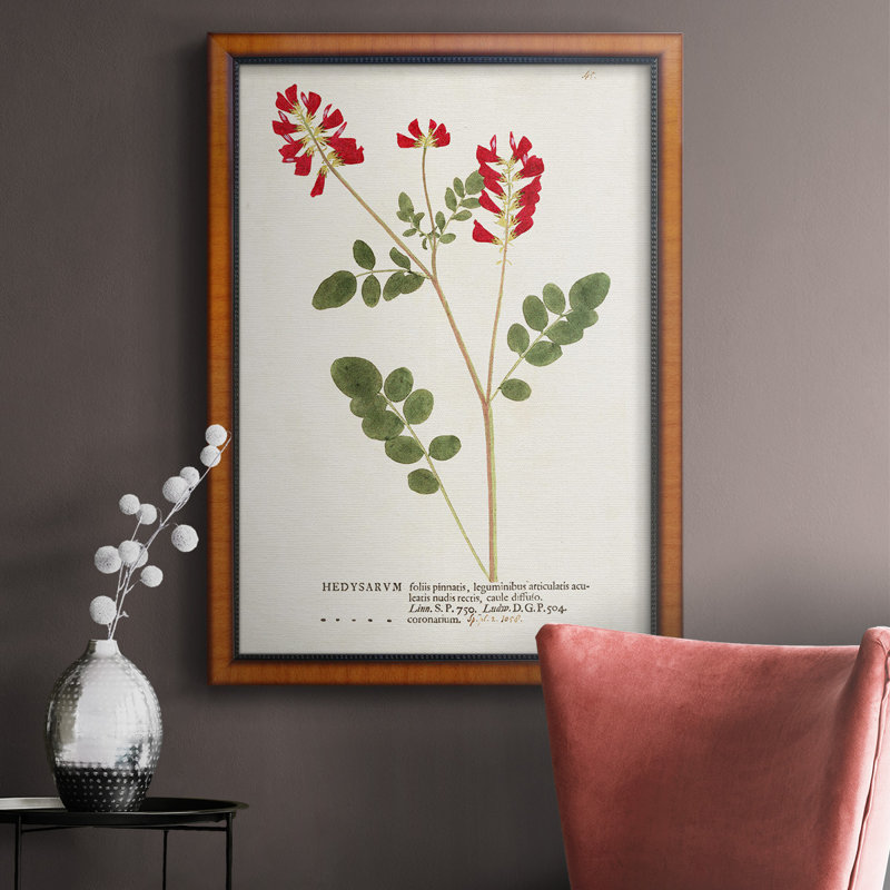 Nature imprimée Botanicals III, toile encadrée de qualité supérieure - prête à être accrochée, H 36 po x l 24 po x P 2,5 po