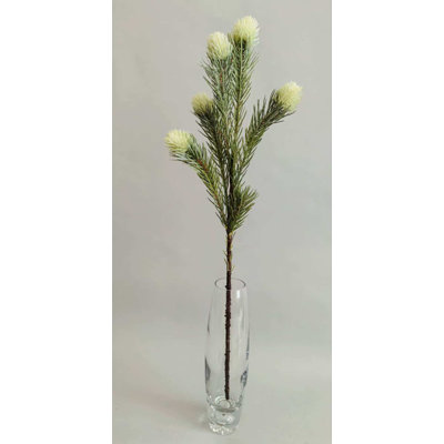 GOLD VELVET FRUITSX5 26''