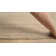 Madelyn Oriental Indoor Rug