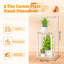 Plant Stand-1324483770