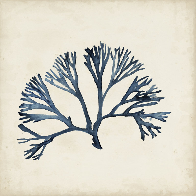 Seaweed Specimens XI by Naomi McCavitt - Wrapped Canvas Painting, 91cm H x 91cm W