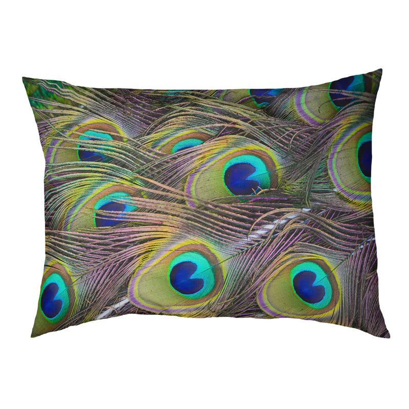Coussin de concepteur peacock plumes Burien, L 32,5 po x l 42,5 po, Noir