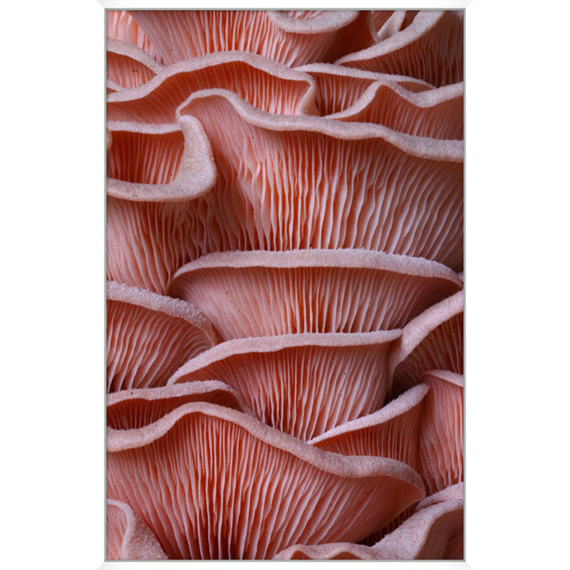 Salmon Textures Print by Mat Sanders