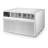 10,000 BTU 230V Through-the-Wall Air Conditioner with Remote Control