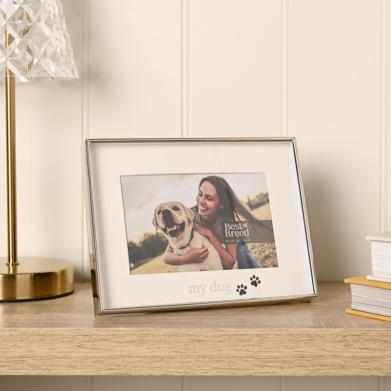 Silver Metal Picture Frame
