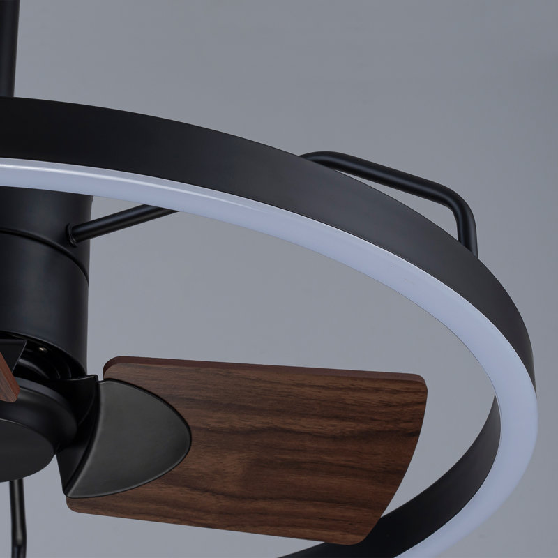 Ventilateur de plafond 24 pouces à intensité variable avec lumière DEL et télécommande, Noir