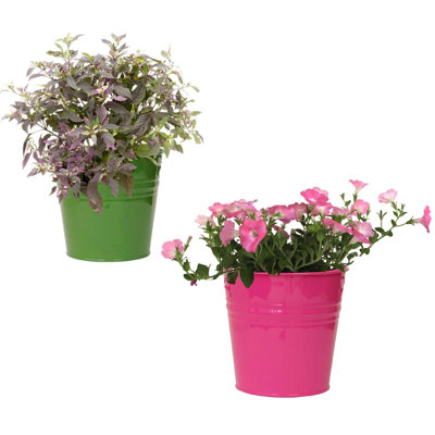 Enameled Galvanized Steel Planter For 6.5" Plants. Set Of Two