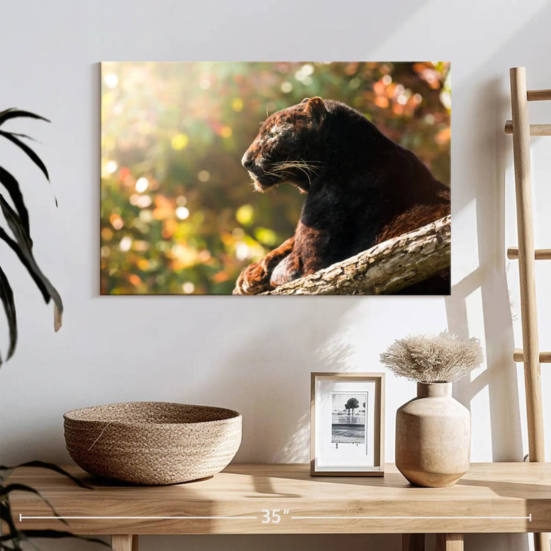 Resting Black Panther, 16" H x 24" W