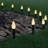 Holiday Lighting-71818305