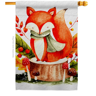 Drapeau maison 40 x 28 pi.