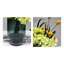 Arrangement floral contemporain minimaliste