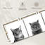 Trois chats, reproduction sur toile-1113385949
