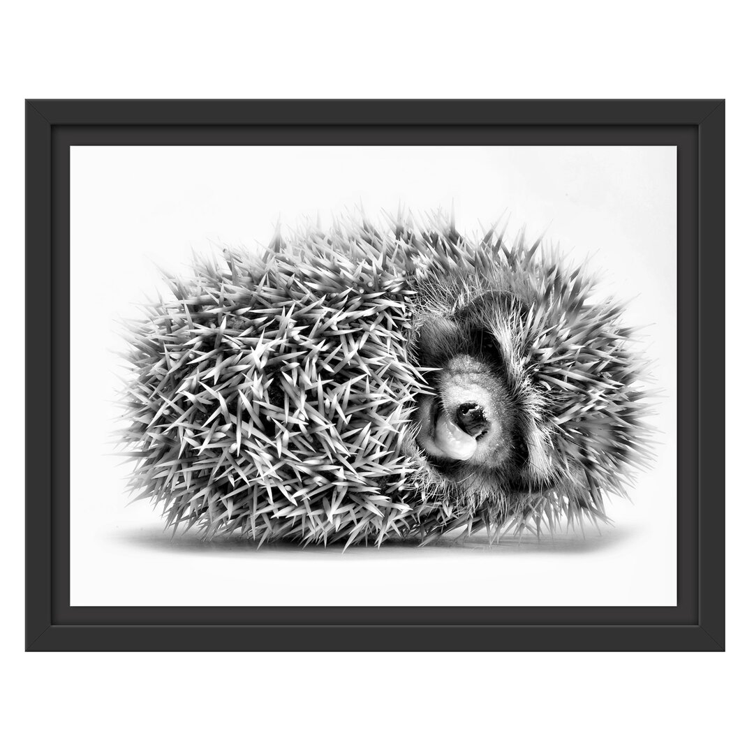 Gerahmtes Wandbild kleiner niedlicher Baby Igel