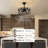 Buffy 20" Farmhouse Caged Ceiling Fan with Light Kit and Remote Control Included-130522456