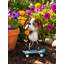 Statuaire de jardin en métal Skateboard-125844223
