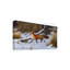 Berrien «Fox Trot Red Fox», reproduction d'impression sur toile tendue-27647840