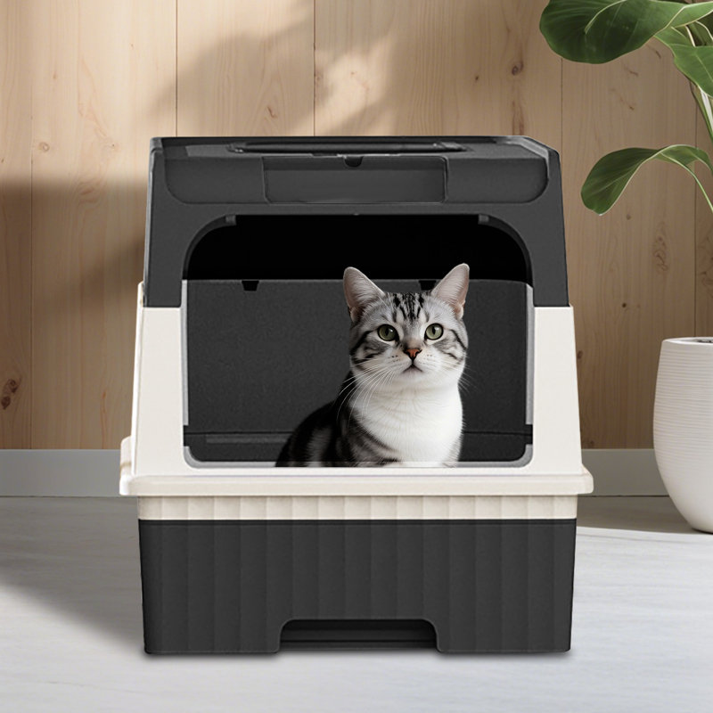 Litière pour chat Black Magic Cube Smart Auto, Noir