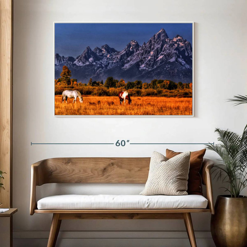 Chevaux paissant à Grand Teton, Cadre flottant blanc, 46 po x 31 po