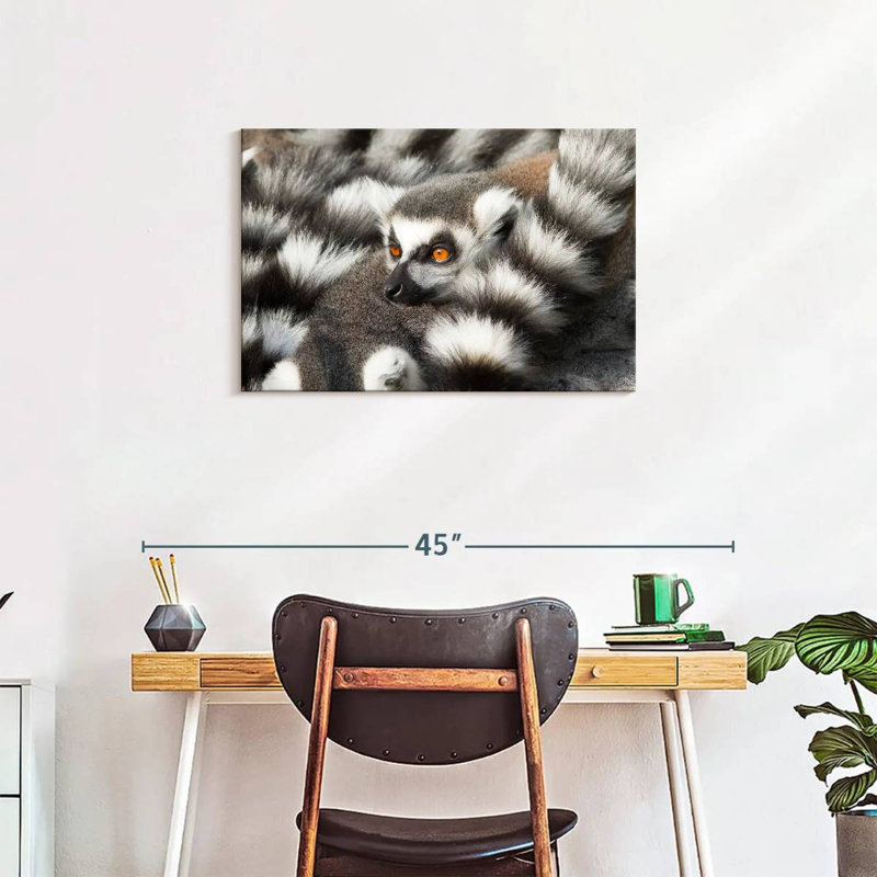 Crowle Ring-Tailed Lemur, 20" H x 30" W