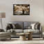  Sun Streak Through Tree Framed Floater Canvas by Danita Delimont-579472570-579472572