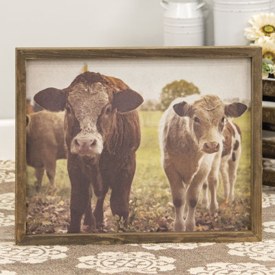 " Pasture Cows "